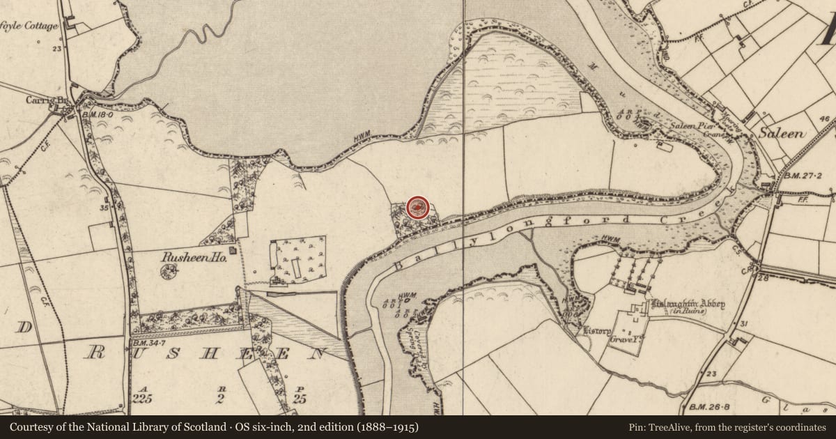 Ordnance Survey six-inch map, 2nd edition (1888–1915) covering the location of Ringfort - rath, Rusheen, County Kerry, with a pin at the register's coordinates