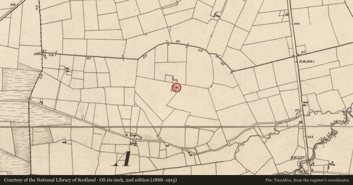 Ordnance Survey six-inch map, 2nd edition (1888–1915) covering the location of Ringfort - rath, Ballynoneen, County Kerry, with a pin at the register's coordinates