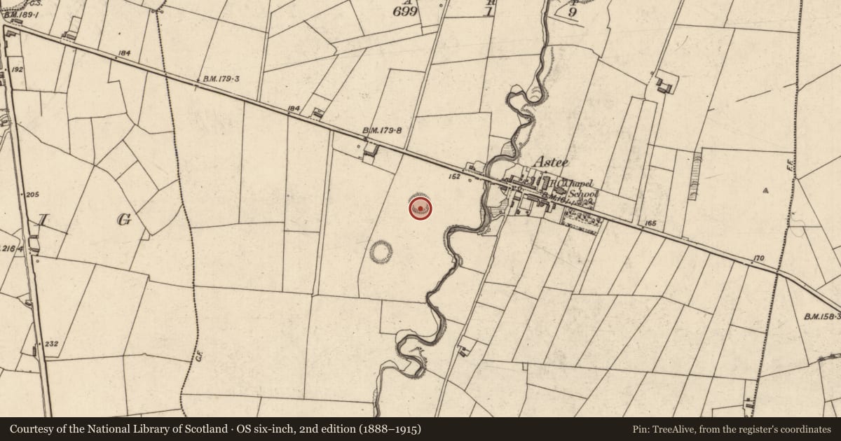 Ordnance Survey six-inch map, 2nd edition (1888–1915) covering the location of Ringfort - rath, Astee West, County Kerry, with a pin at the register's coordinates