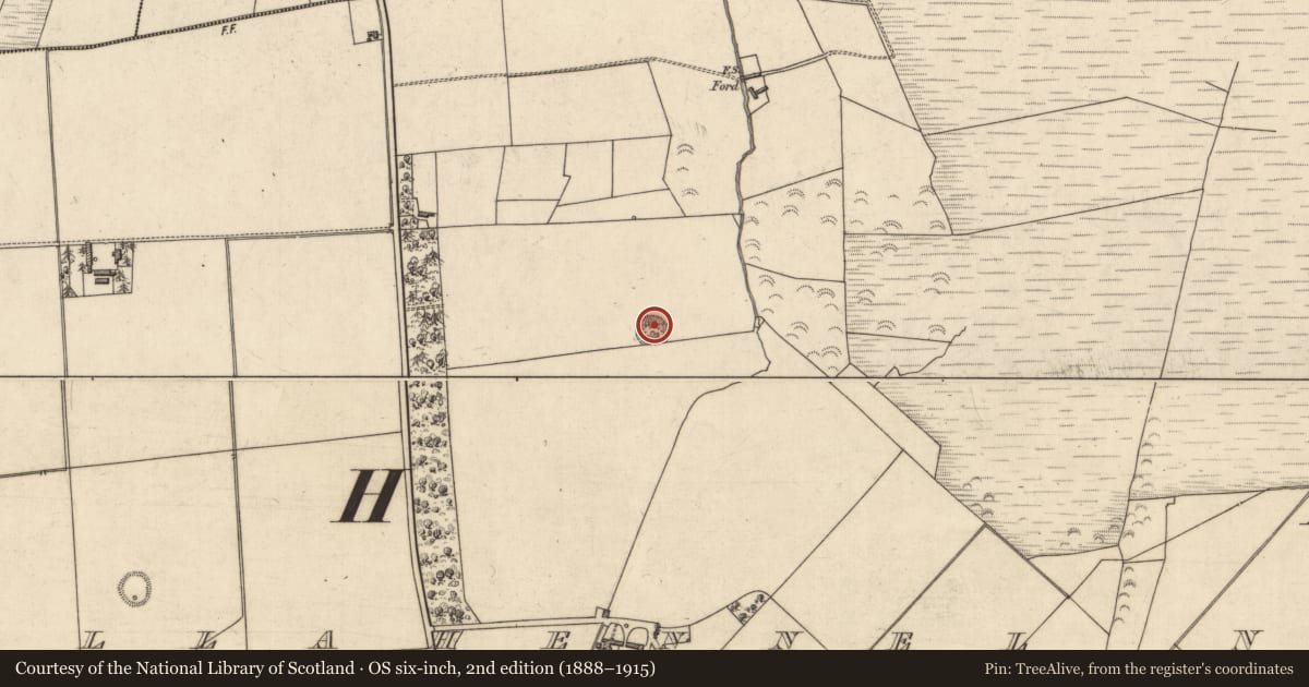 Ordnance Survey six-inch map, 2nd edition (1888–1915) covering the location of Ringfort - rath, Tullahennel North, County Kerry, with a pin at the register's coordinates