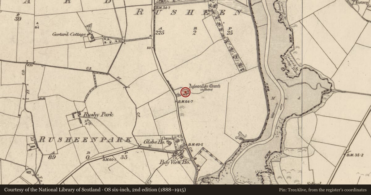 Ordnance Survey six-inch map, 2nd edition (1888–1915) covering the location of Church, Rusheen, County Kerry, with a pin at the register's coordinates