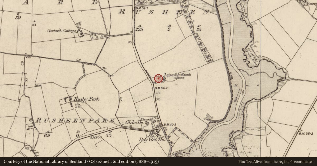 Ordnance Survey six-inch map, 2nd edition (1888–1915) covering the location of Graveyard, Rusheen, County Kerry, with a pin at the register's coordinates