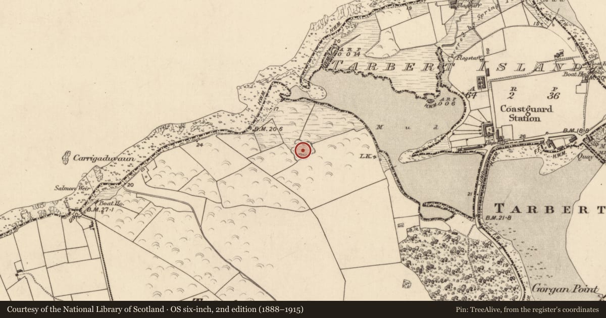 Ordnance Survey six-inch map, 2nd edition (1888–1915) covering the location of Bastioned fort, Tarbert, County Kerry, with a pin at the register's coordinates