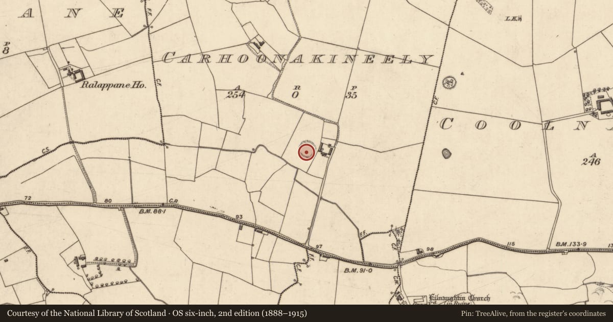 Ordnance Survey six-inch map, 2nd edition (1888–1915) covering the location of Ringfort - rath, Carhoonakineely, County Kerry, with a pin at the register's coordinates