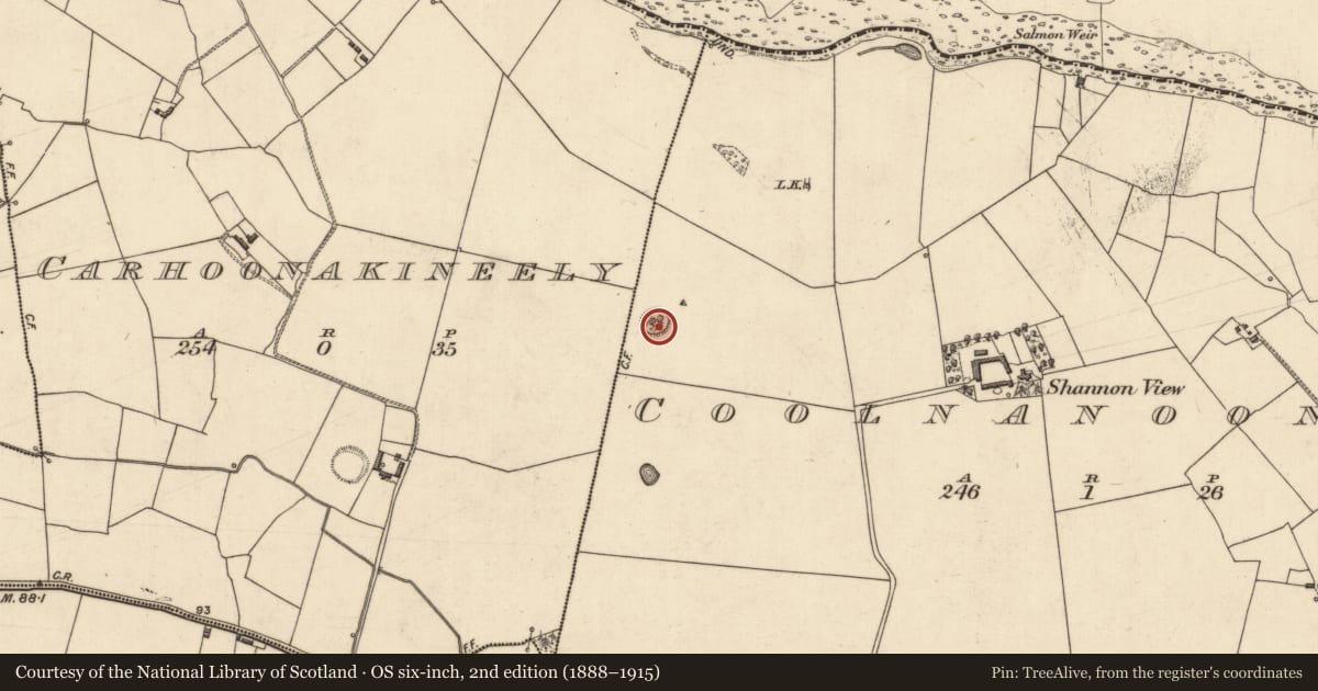 Ordnance Survey six-inch map, 2nd edition (1888–1915) covering the location of Ringfort - rath, Coolnanoonagh, County Kerry, with a pin at the register's coordinates