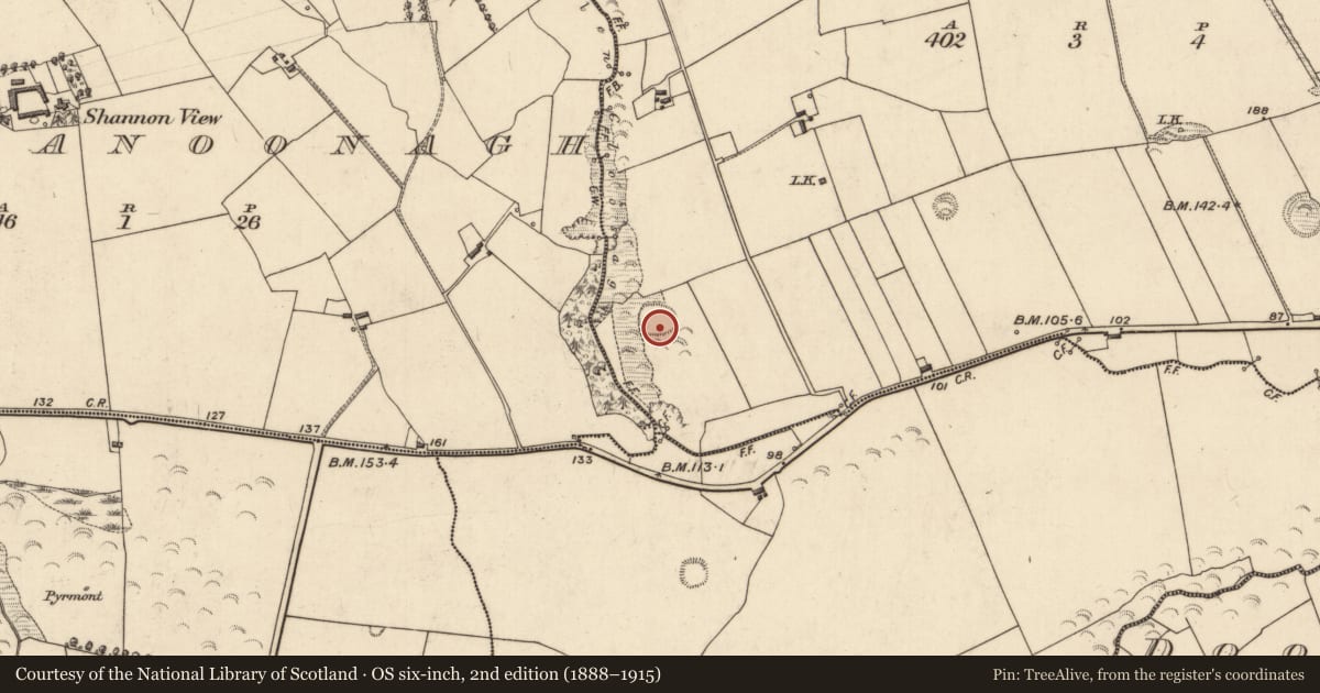 Ordnance Survey six-inch map, 2nd edition (1888–1915) covering the location of Souterrain, Kilpaddoge, County Kerry, with a pin at the register's coordinates