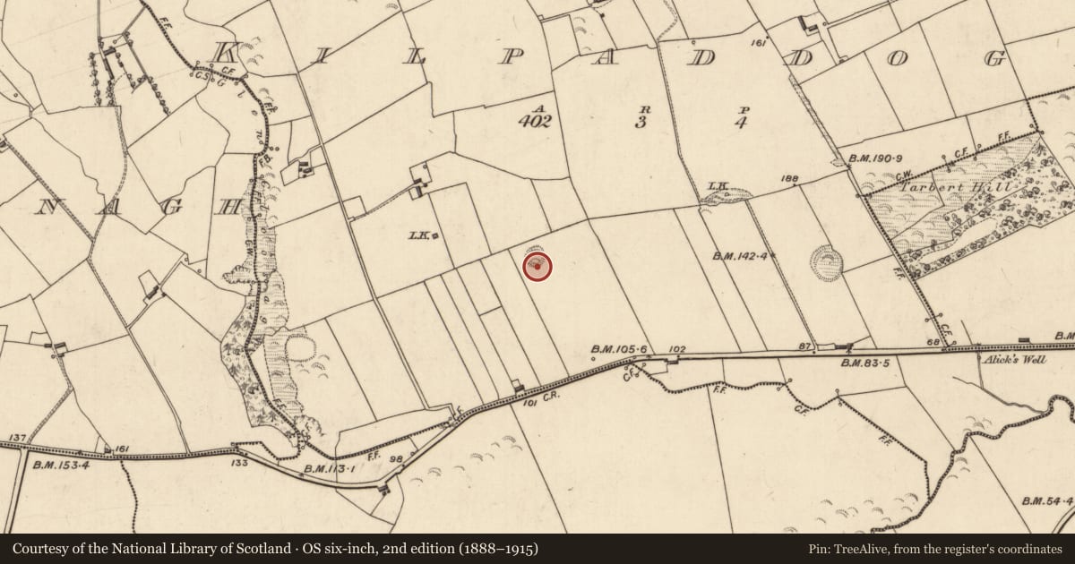 Ordnance Survey six-inch map, 2nd edition (1888–1915) covering the location of Souterrain, Kilpaddoge, County Kerry, with a pin at the register's coordinates
