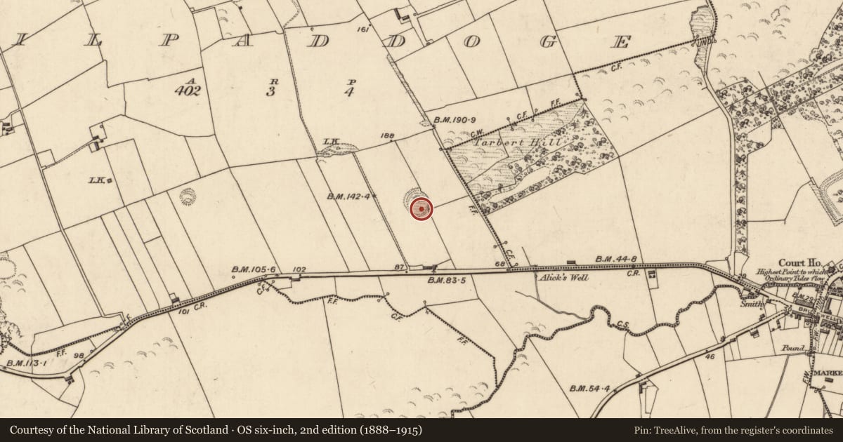 Ordnance Survey six-inch map, 2nd edition (1888–1915) covering the location of Ringfort - rath, Kilpaddoge, County Kerry, with a pin at the register's coordinates