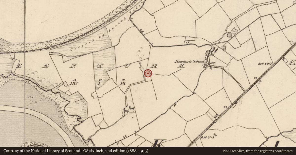 Ordnance Survey six-inch map, 2nd edition (1888–1915) covering the location of Ringfort - rath, Reenturk, County Kerry, with a pin at the register's coordinates