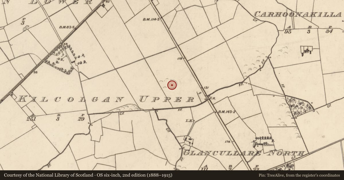 Ordnance Survey six-inch map, 2nd edition (1888–1915) covering the location of Ringfort - rath, Kilcolgan Upper, County Kerry, with a pin at the register's coordinates
