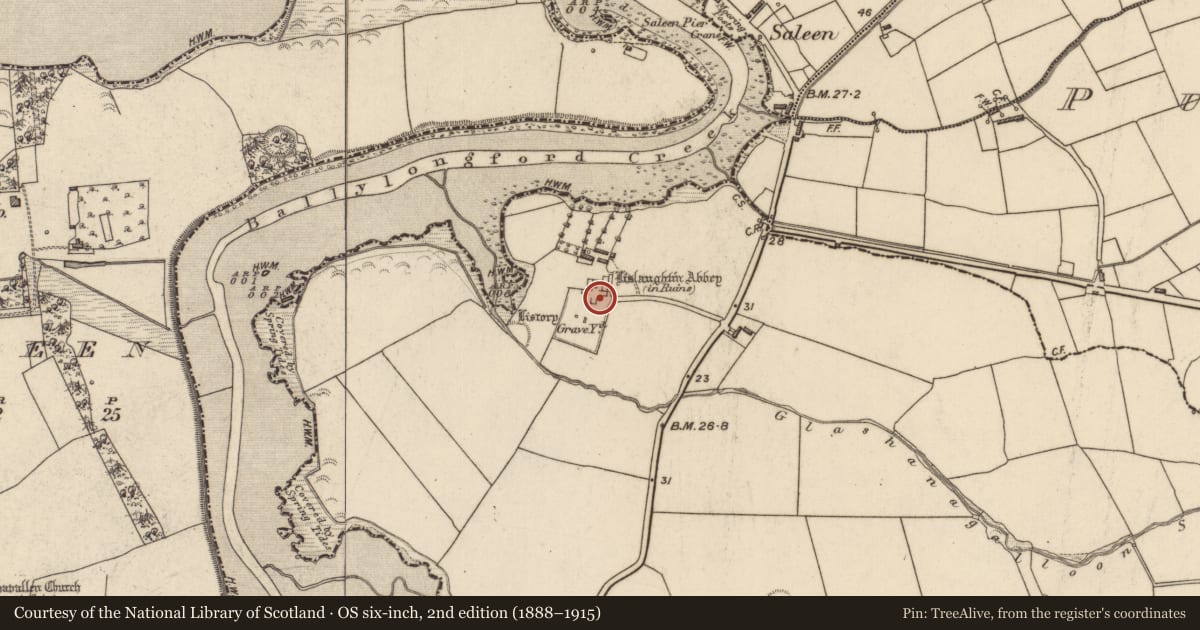 Ordnance Survey six-inch map, 2nd edition (1888–1915) covering the location of Religious house - Franciscan friars, Lislaughtin, County Kerry, with a pin at the register's coordinates