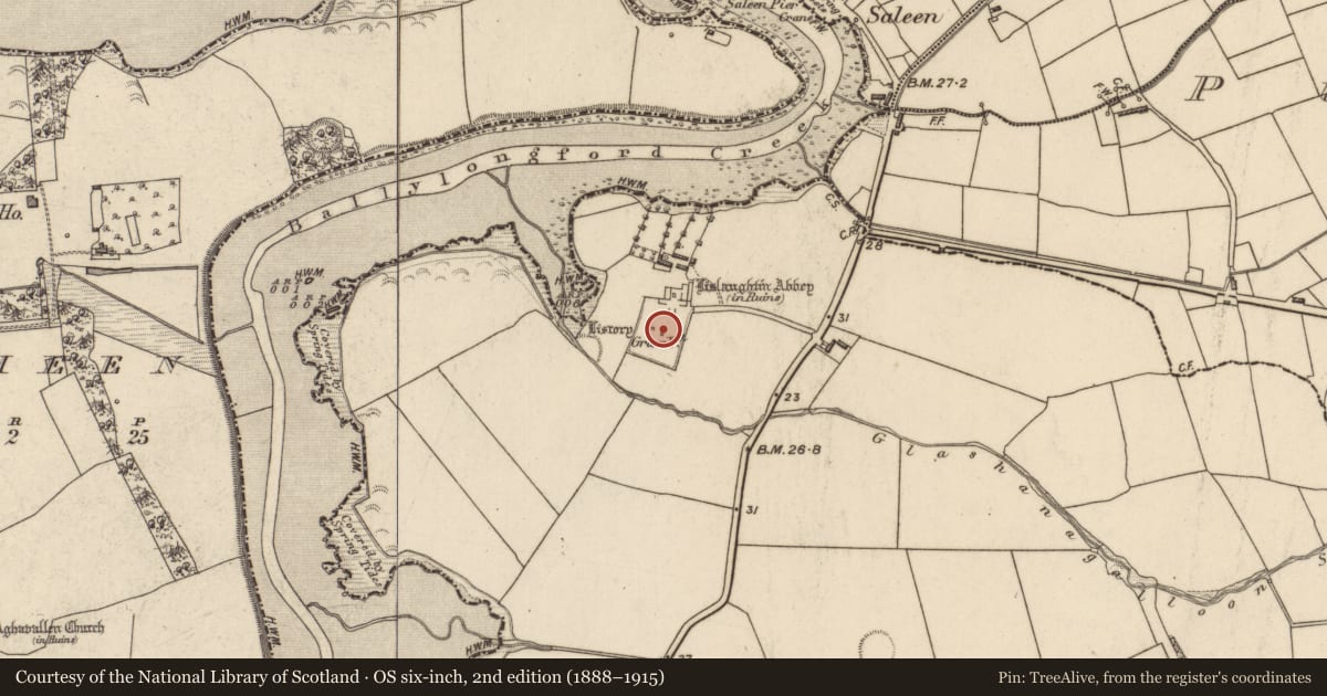 Ordnance Survey six-inch map, 2nd edition (1888–1915) covering the location of Graveyard, Lislaughtin, County Kerry, with a pin at the register's coordinates