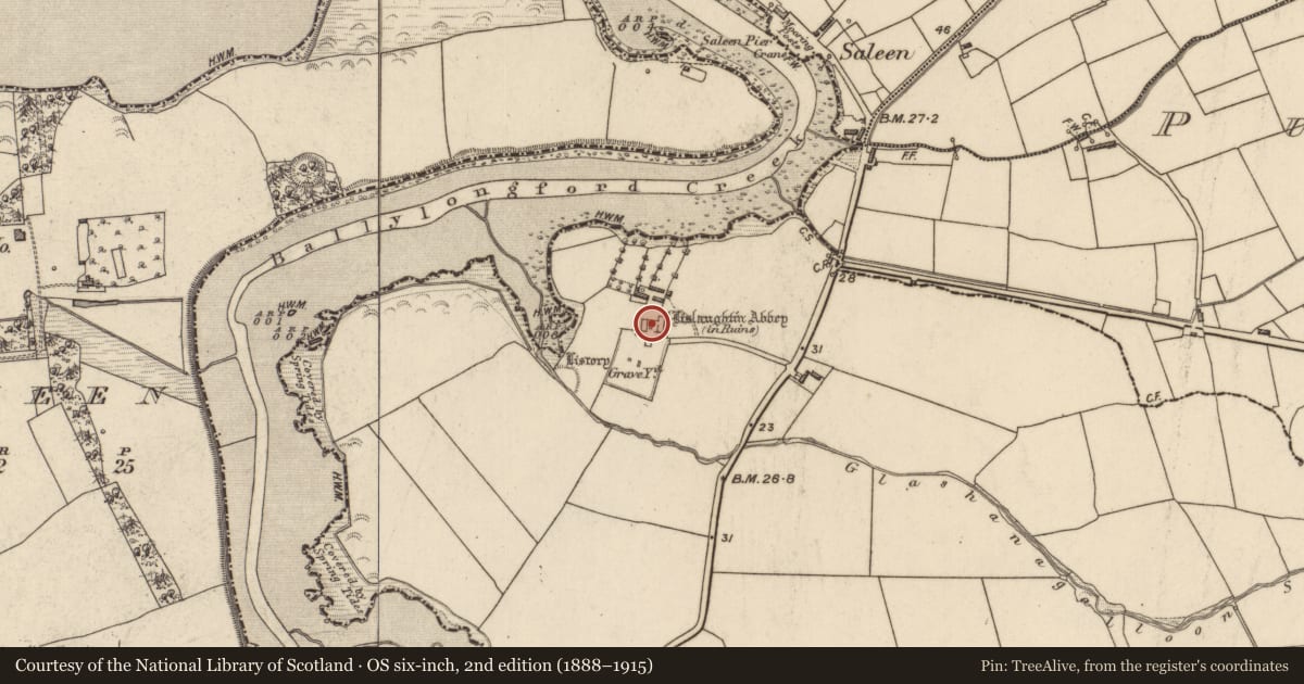 Ordnance Survey six-inch map, 2nd edition (1888–1915) covering the location of Ecclesiastical site, Lislaughtin, County Kerry, with a pin at the register's coordinates