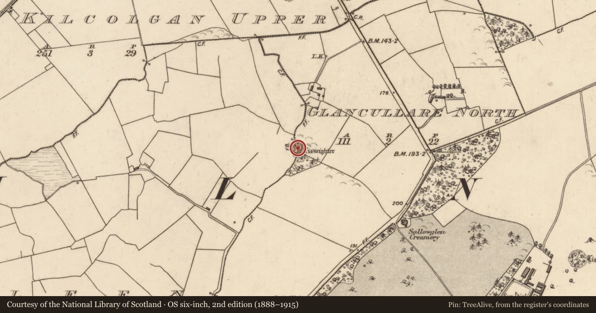 Ordnance Survey six-inch map, 2nd edition (1888–1915) covering the location of Ringfort - rath, Pulleen, Glancullare North, County Kerry, with a pin at the register's coordinates