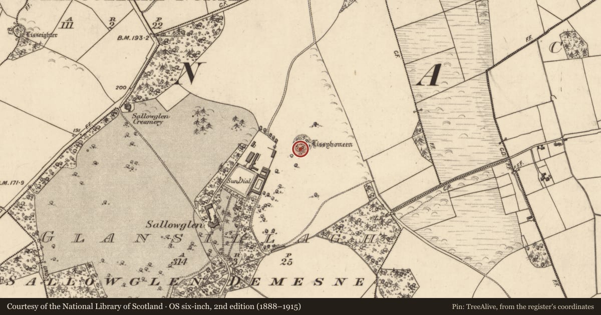 Ordnance Survey six-inch map, 2nd edition (1888–1915) covering the location of Souterrain, Glansillagh, County Kerry, with a pin at the register's coordinates