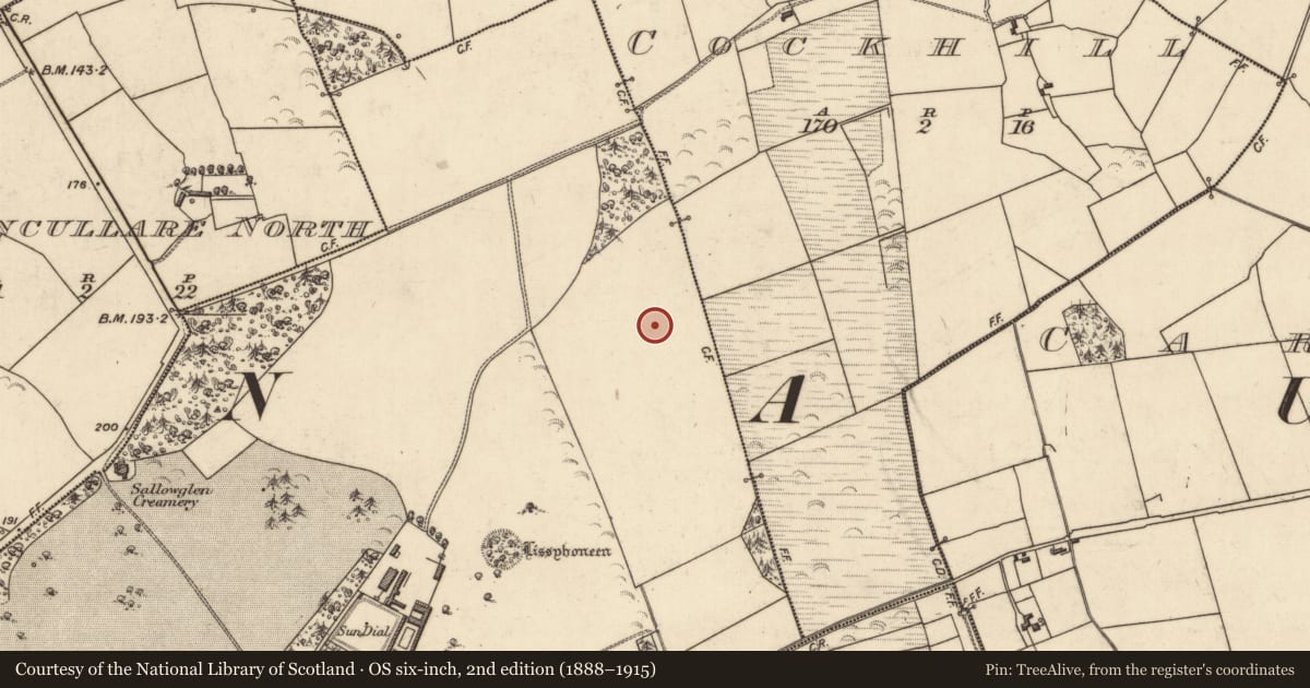 Ordnance Survey six-inch map, 2nd edition (1888–1915) covering the location of Standing stone, Glansillagh, County Kerry, with a pin at the register's coordinates
