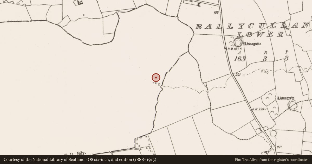 Ordnance Survey six-inch map, 2nd edition (1888–1915) covering the location of Church, Kilmurrily, County Kerry, with a pin at the register's coordinates