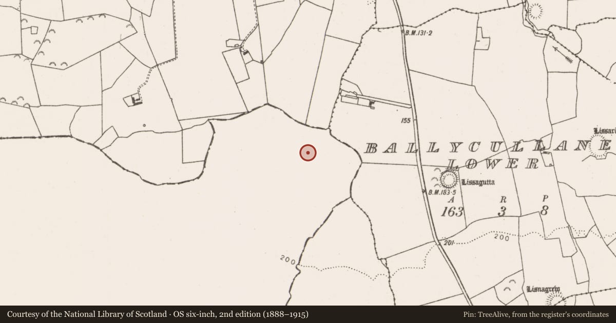 Ordnance Survey six-inch map, 2nd edition (1888–1915) covering the location of Ringfort - rath, Kilmurrily, County Kerry, with a pin at the register's coordinates