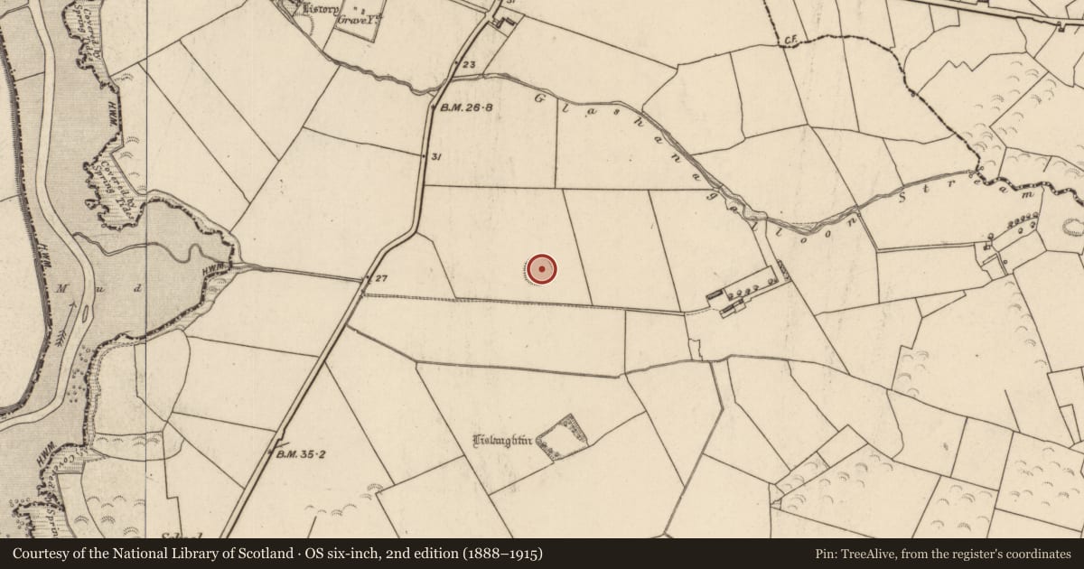Ordnance Survey six-inch map, 2nd edition (1888–1915) covering the location of Ringfort - rath, Lislaughtin, County Kerry, with a pin at the register's coordinates