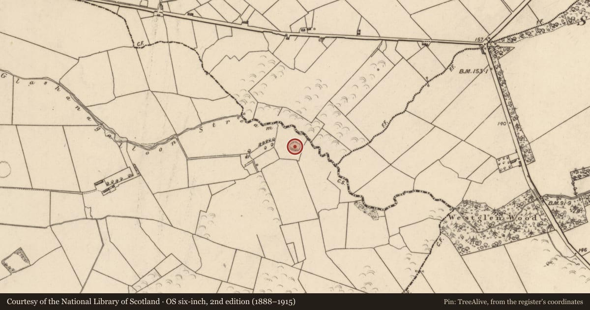 Ordnance Survey six-inch map, 2nd edition (1888–1915) covering the location of Enclosure, Lislaughtin, County Kerry, with a pin at the register's coordinates