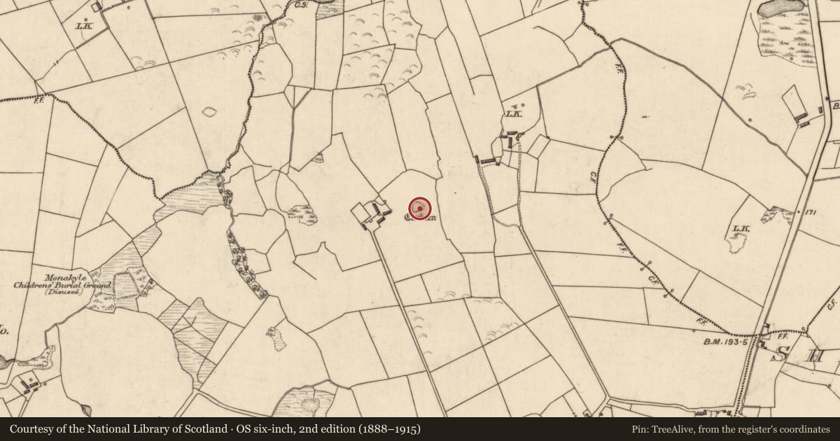 Ordnance Survey six-inch map, 2nd edition (1888–1915) covering the location of Ringfort - rath, Dooncaha, County Kerry, with a pin at the register's coordinates