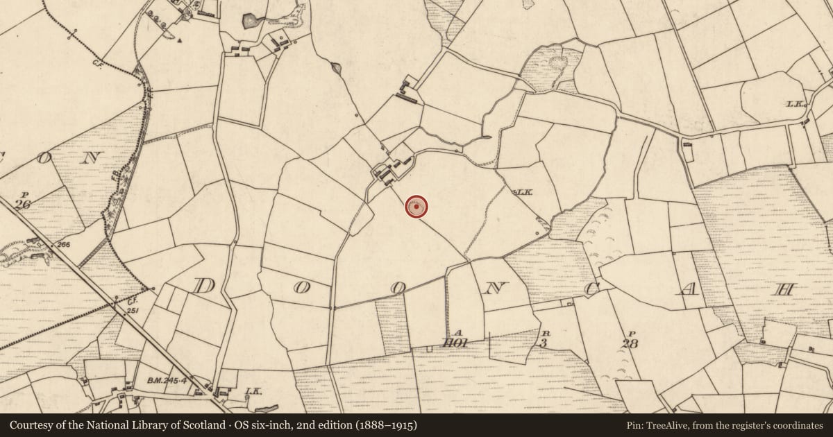 Ordnance Survey six-inch map, 2nd edition (1888–1915) covering the location of Ringfort - rath, Dooncaha, County Kerry, with a pin at the register's coordinates