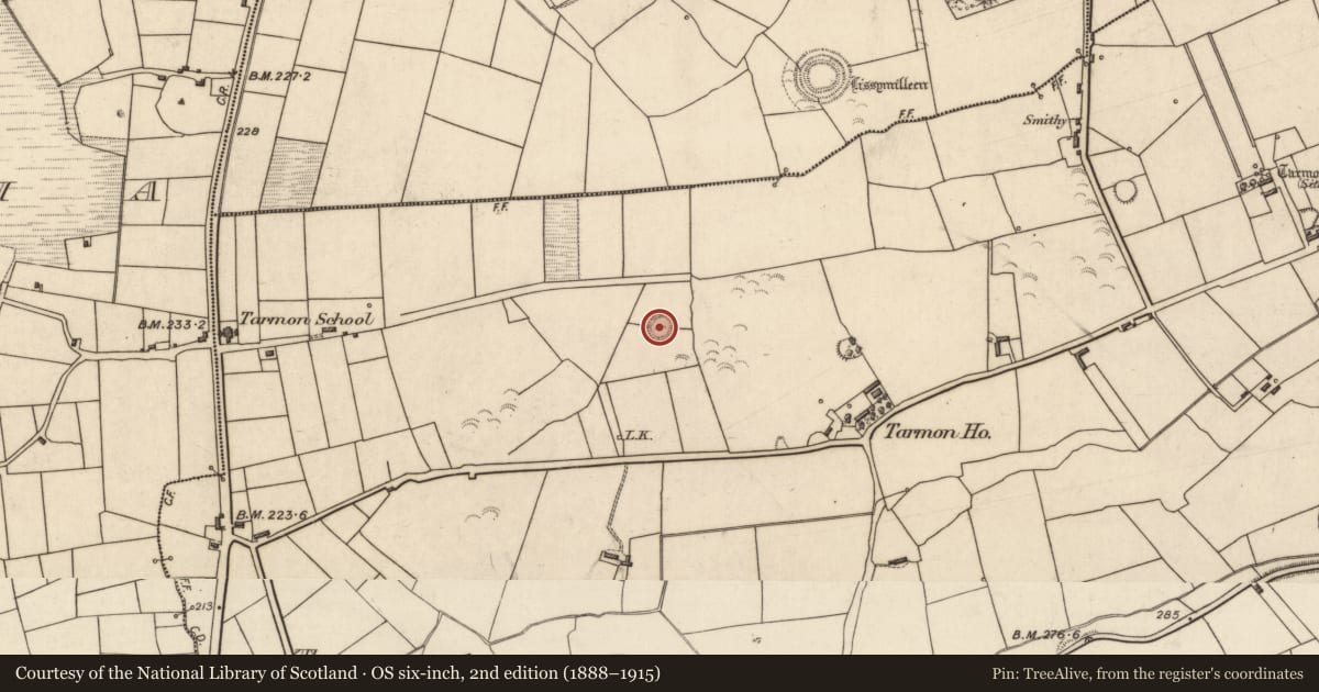 Ordnance Survey six-inch map, 2nd edition (1888–1915) covering the location of Ringfort - rath, Tarmon East, County Kerry, with a pin at the register's coordinates