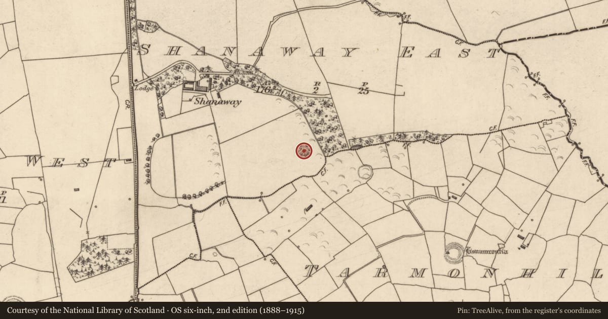 Ordnance Survey six-inch map, 2nd edition (1888–1915) covering the location of Ringfort - rath, Shanaway East, County Kerry, with a pin at the register's coordinates