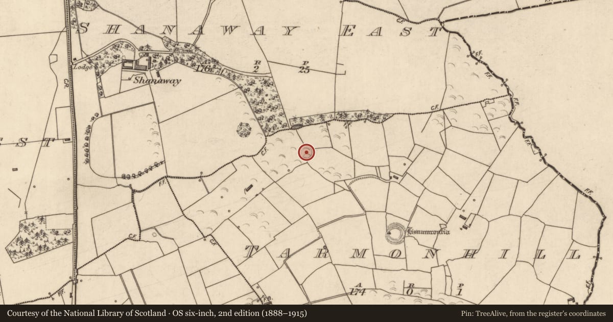 Ordnance Survey six-inch map, 2nd edition (1888–1915) covering the location of Ringfort - rath, Tarmon Hill, County Kerry, with a pin at the register's coordinates