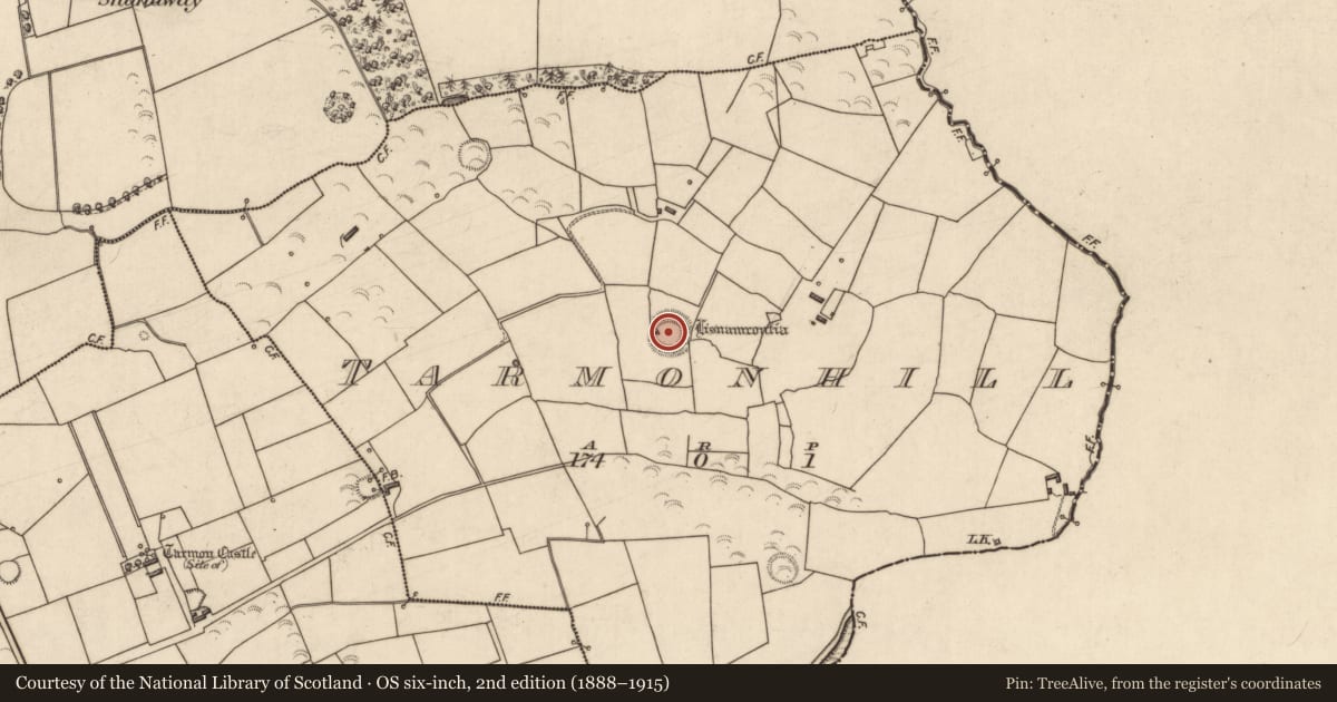 Ordnance Survey six-inch map, 2nd edition (1888–1915) covering the location of Ringfort - rath, Tarmon Hill, County Kerry, with a pin at the register's coordinates