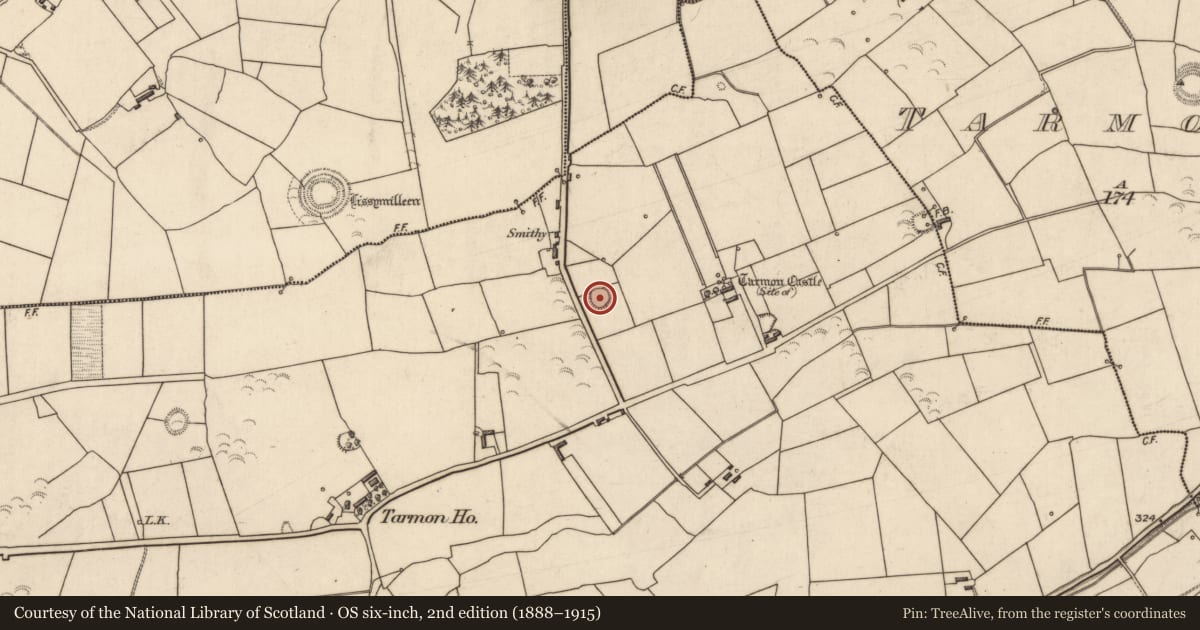 Ordnance Survey six-inch map, 2nd edition (1888–1915) covering the location of Enclosure, Tarmon East, County Kerry, with a pin at the register's coordinates