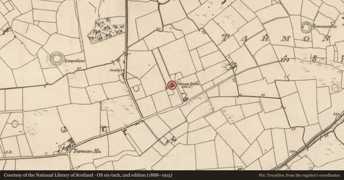 Ordnance Survey six-inch map, 2nd edition (1888–1915) covering the location of Castle - unclassified, Tarmon East, County Kerry, with a pin at the register's coordinates