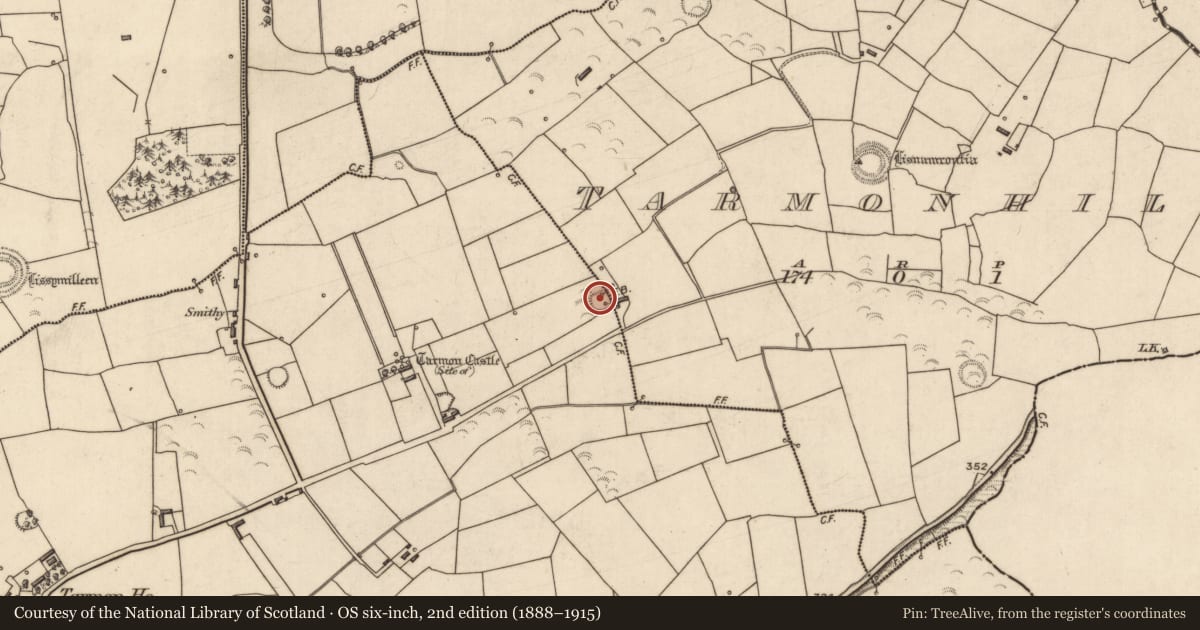 Ordnance Survey six-inch map, 2nd edition (1888–1915) covering the location of Ringfort - rath, Tarmon East, Tarmon Hill, County Kerry, with a pin at the register's coordinates