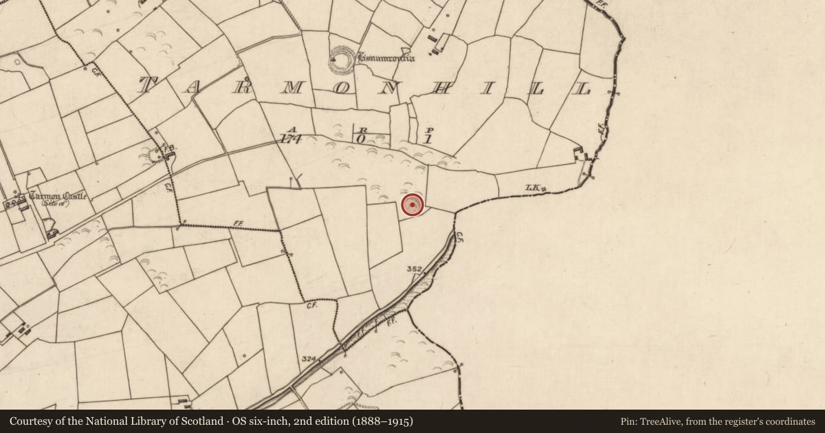 Ordnance Survey six-inch map, 2nd edition (1888–1915) covering the location of Ringfort - rath, Tarmon Hill, County Kerry, with a pin at the register's coordinates