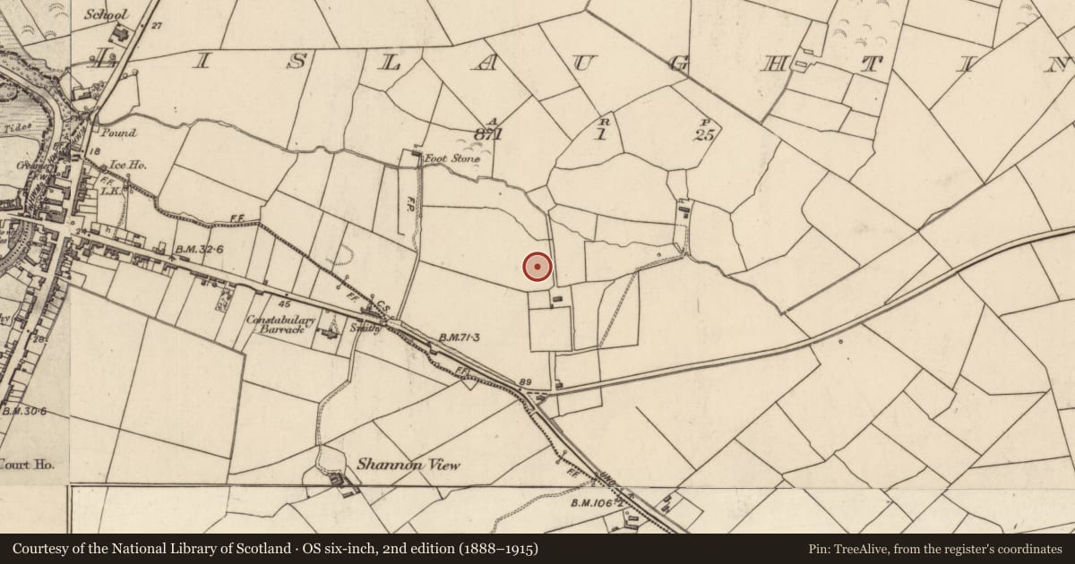 Ordnance Survey six-inch map, 2nd edition (1888–1915) covering the location of Ritual site - holy well, Lislaughtin, County Kerry, with a pin at the register's coordinates