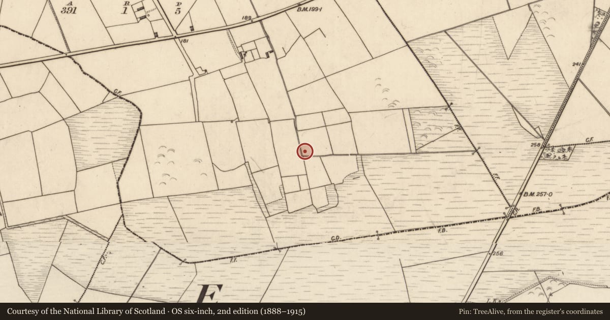 Ordnance Survey six-inch map, 2nd edition (1888–1915) covering the location of Fulacht fia, Glancullare South, County Kerry, with a pin at the register's coordinates