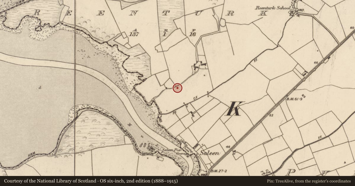 Ordnance Survey six-inch map, 2nd edition (1888–1915) covering the location of Fulacht fia, Reenturk, County Kerry, with a pin at the register's coordinates