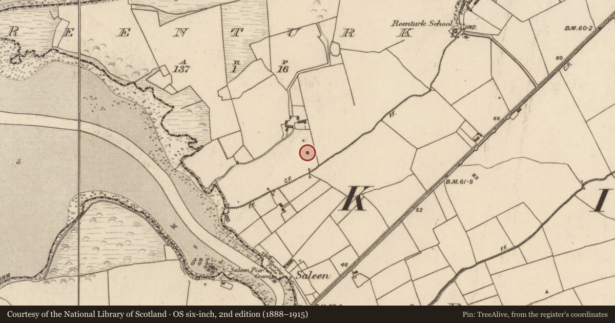 Ordnance Survey six-inch map, 2nd edition (1888–1915) covering the location of Burnt mound, Reenturk, County Kerry, with a pin at the register's coordinates