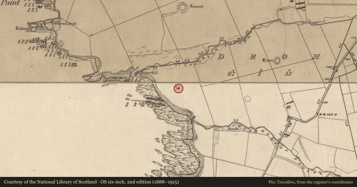 Ordnance Survey six-inch map, 2nd edition (1888–1915) covering the location of Barrow - ring-barrow, Drom, County Kerry, with a pin at the register's coordinates