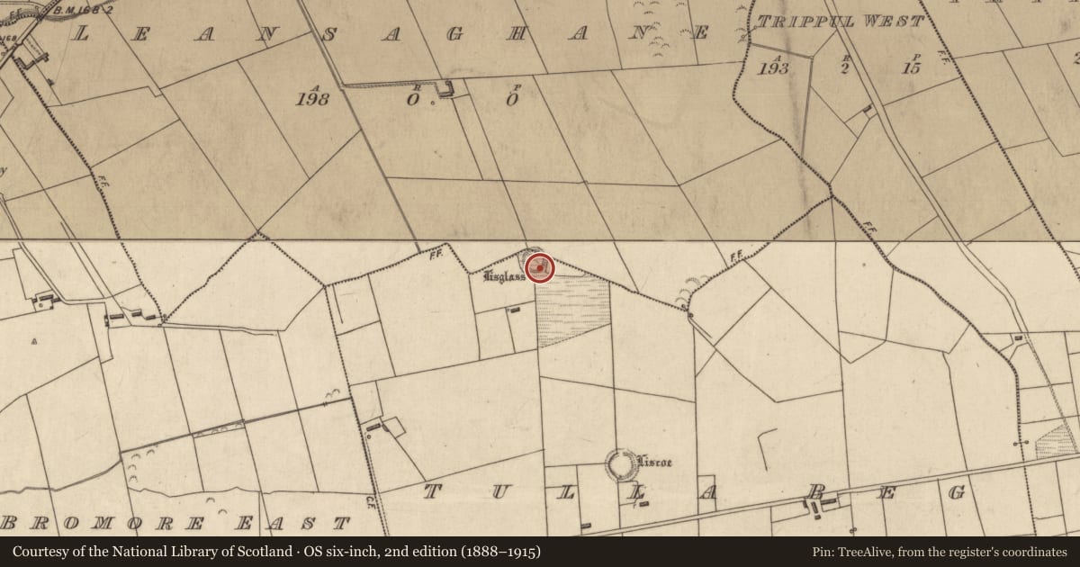 Ordnance Survey six-inch map, 2nd edition (1888–1915) covering the location of Ringfort - rath, Leansaghane, Tulla Beg, County Kerry, with a pin at the register's coordinates