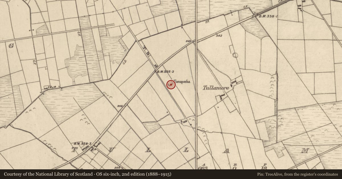 Ordnance Survey six-inch map, 2nd edition (1888–1915) covering the location of Ringfort - rath, Tullamore, County Kerry, with a pin at the register's coordinates