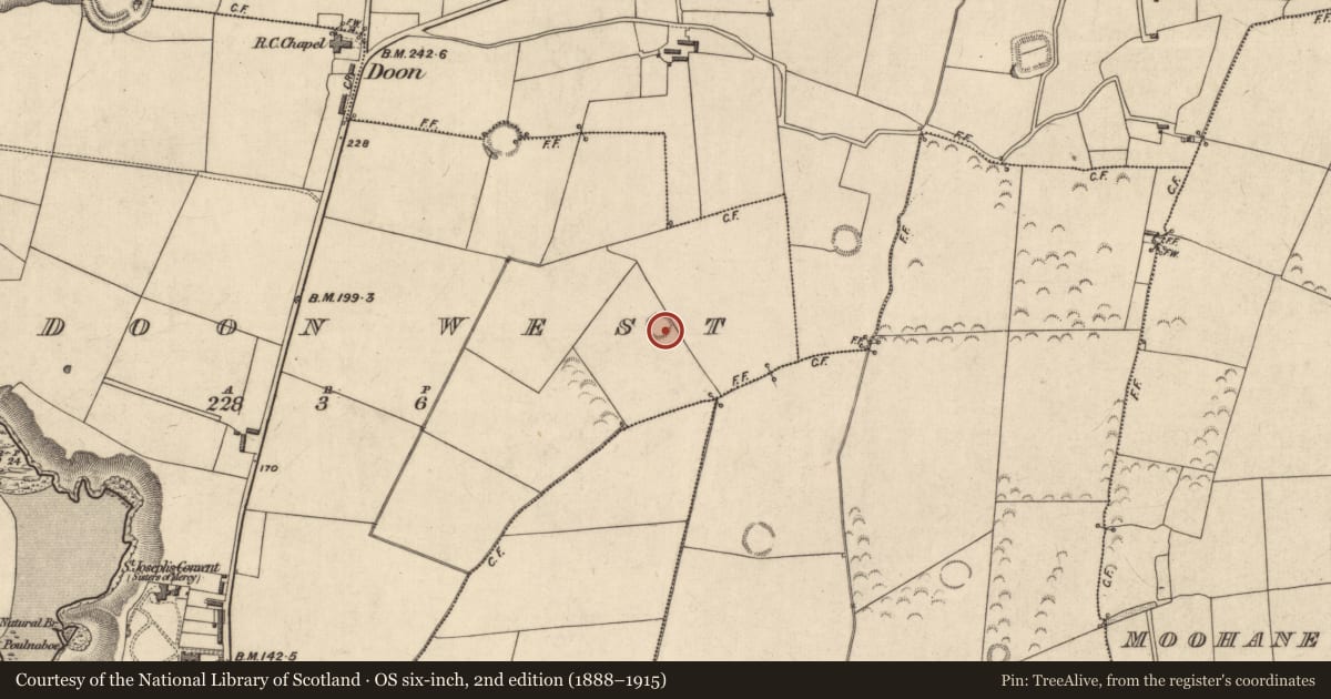 Ordnance Survey six-inch map, 2nd edition (1888–1915) covering the location of Ringfort - rath, Doon West, County Kerry, with a pin at the register's coordinates