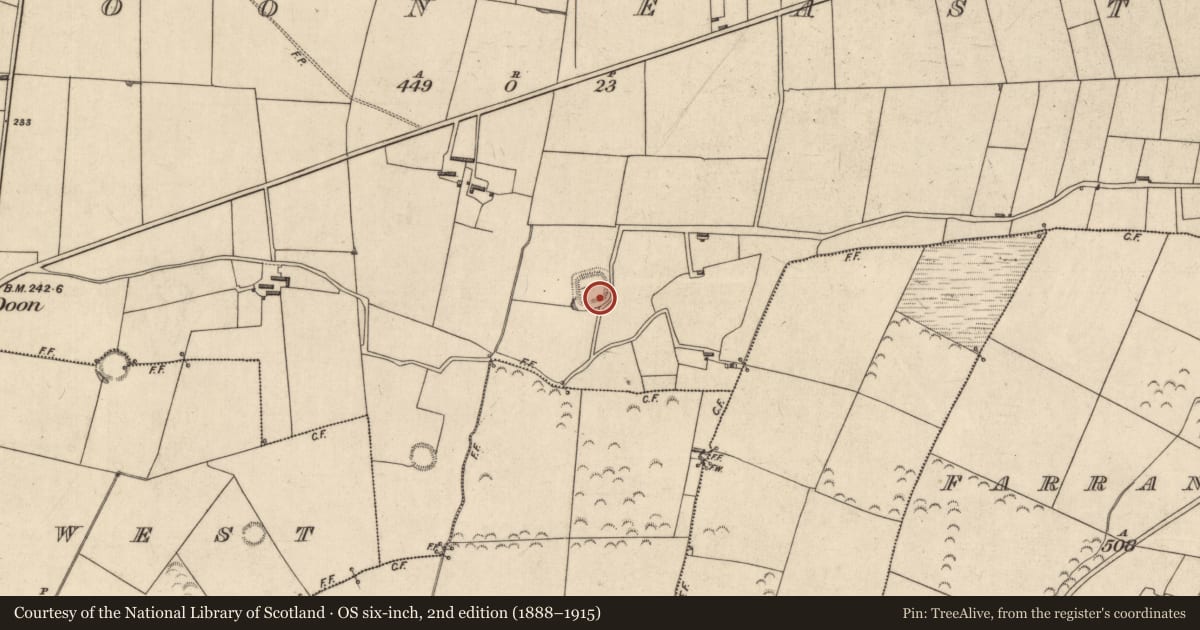 Ordnance Survey six-inch map, 2nd edition (1888–1915) covering the location of Ringfort - rath, Doon East, County Kerry, with a pin at the register's coordinates