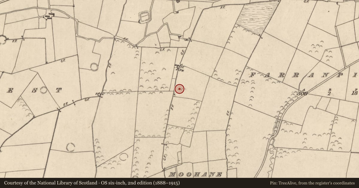 Ordnance Survey six-inch map, 2nd edition (1888–1915) covering the location of Fulacht fia, Moohane, County Kerry, with a pin at the register's coordinates