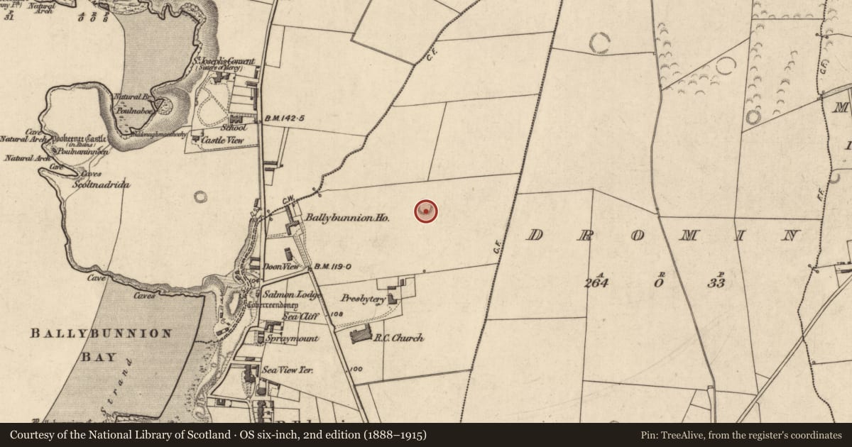 Ordnance Survey six-inch map, 2nd edition (1888–1915) covering the location of Ringfort - rath, Ballybunnion, County Kerry, with a pin at the register's coordinates