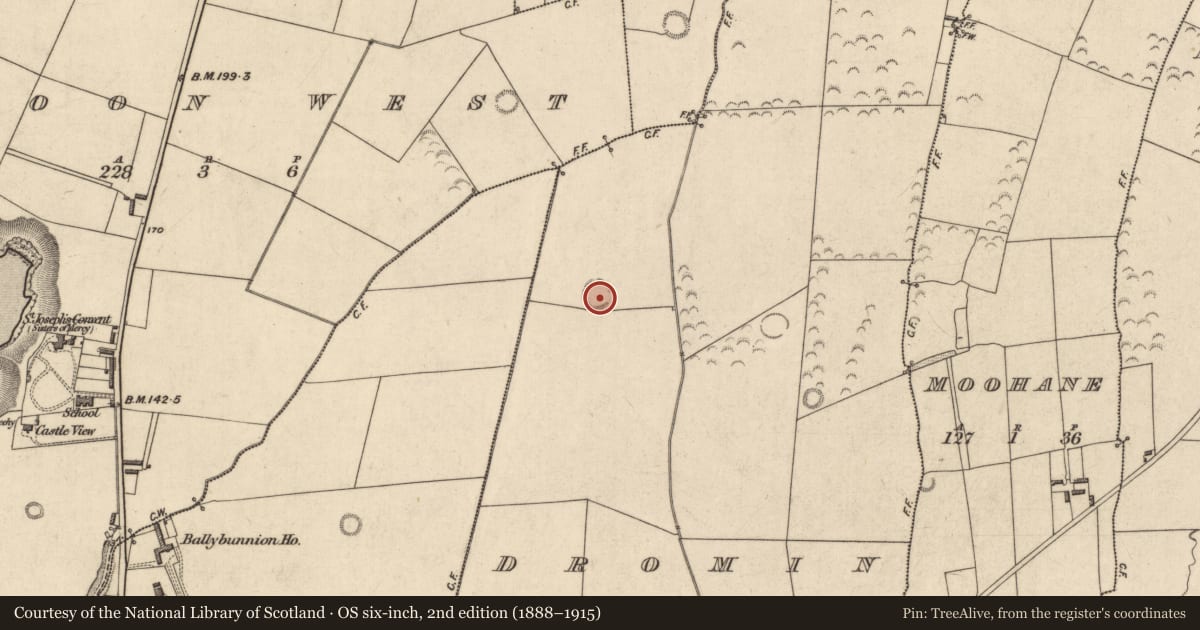 Ordnance Survey six-inch map, 2nd edition (1888–1915) covering the location of Ringfort - rath, Dromin, County Kerry, with a pin at the register's coordinates