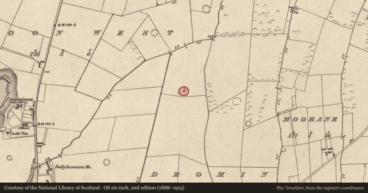 Ordnance Survey six-inch map, 2nd edition (1888–1915) covering the location of Mound, Dromin, County Kerry, with a pin at the register's coordinates