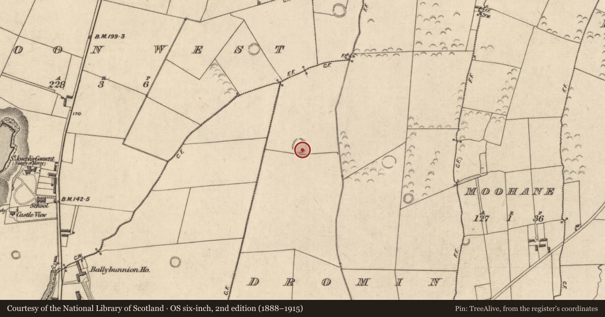 Ordnance Survey six-inch map, 2nd edition (1888–1915) covering the location of Mound, Dromin, County Kerry, with a pin at the register's coordinates
