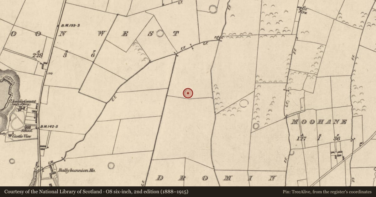 Ordnance Survey six-inch map, 2nd edition (1888–1915) covering the location of Mound, Dromin, County Kerry, with a pin at the register's coordinates