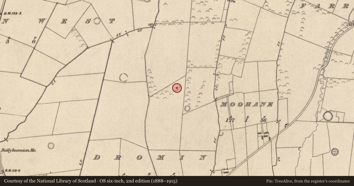 Ordnance Survey six-inch map, 2nd edition (1888–1915) covering the location of Ringfort - rath, Dromin, County Kerry, with a pin at the register's coordinates